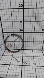 Кольцо 225 700А.17.01.101-1