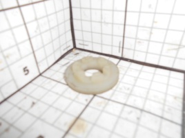 Шайба СКП 01.13.215