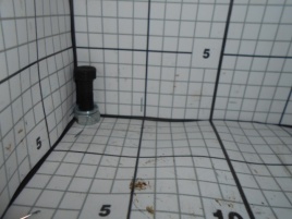 Болт карданный 52-2203020 с гайкой (10шт)