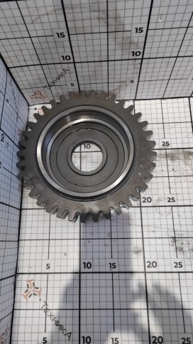 Шестерня 225 744Р-16.02.041-01 фото 1